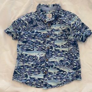Boys 4T vineyard vines for target short sleeved button down